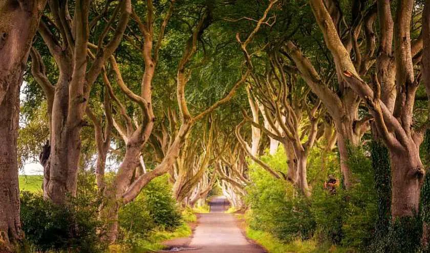 Find the most iconic Game of Thrones locations in Northern Ireland!