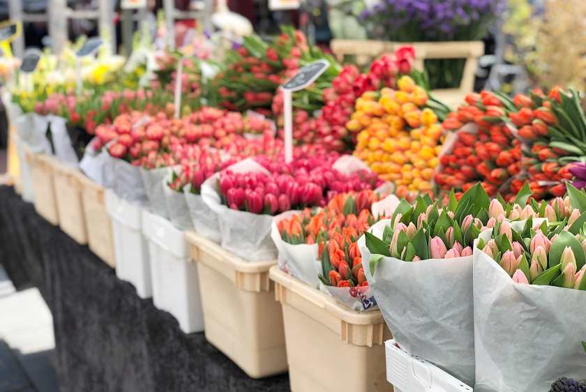 Tulips at a flower market in Amsterdam