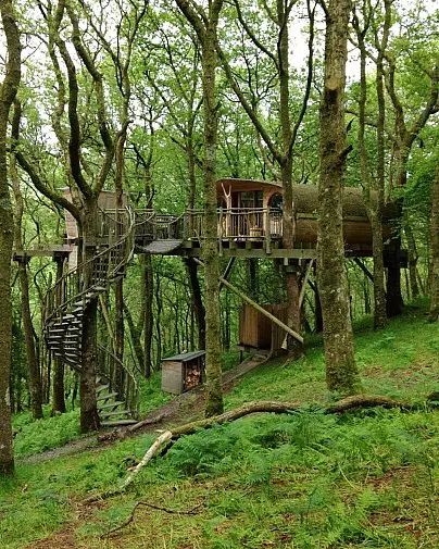Review of the awesome Living Room Treehouses in Powys, Wales
