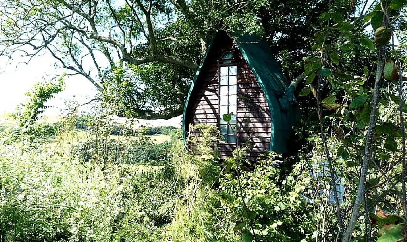 Cornwall Treehouse