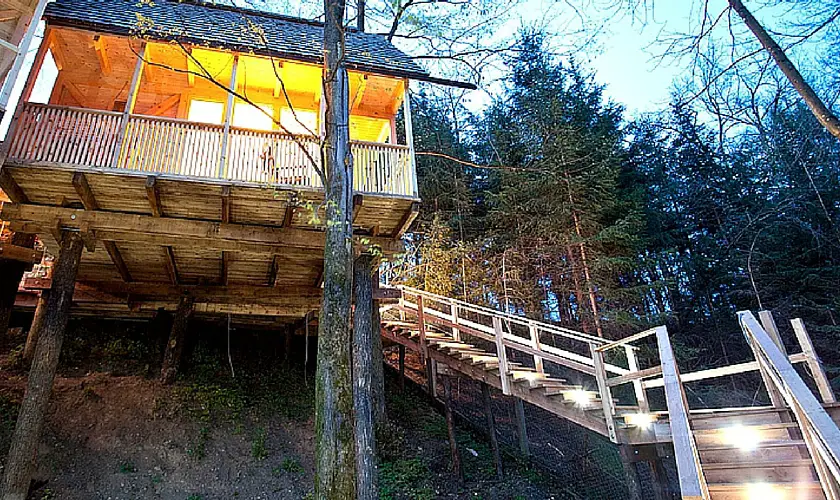 Treehouse Slovenia