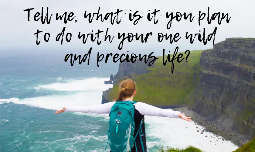 Mel with her arms out in front of the Cliffs of Moher in Ireland from behind with the quote "Tell me, what is it you plan to do with your one wild and precious life?" by Mary Oliver, American Poet 