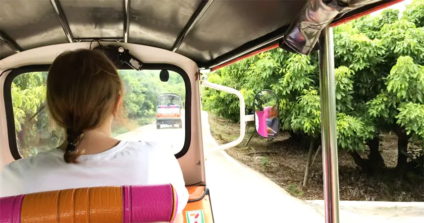 Mel from Footsteps on the Globe pictured driving down a rural road in Mae Wang in a Tuk Tuk from behind with greenery on each side of the Tuk Tuk