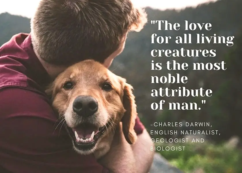 Man hugging his golden retriever dog who is smiling looking at the camera