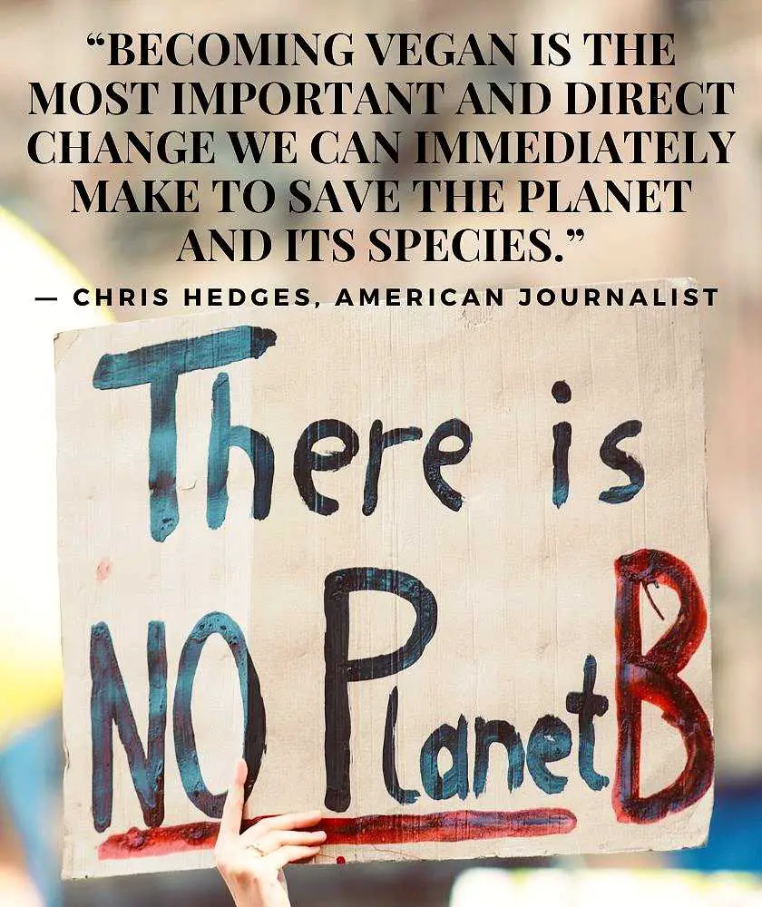 Someone holding 'There is no planet B' protest sign