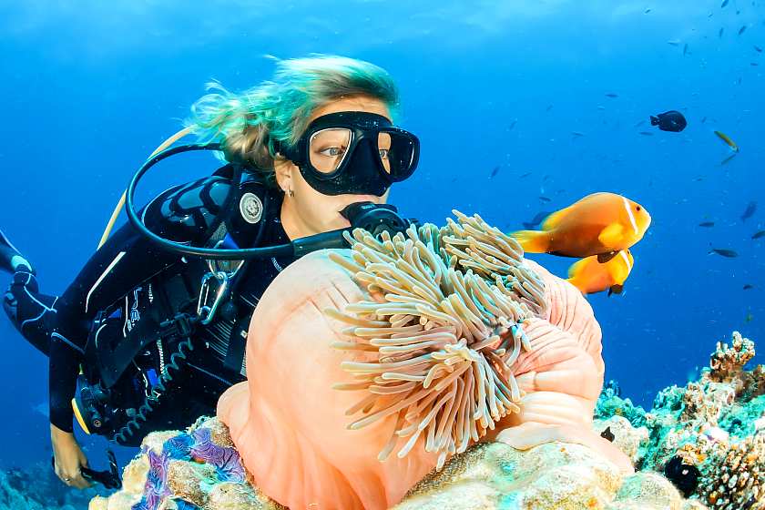 Blonde woman scuba diving next to a reef with orange fish 