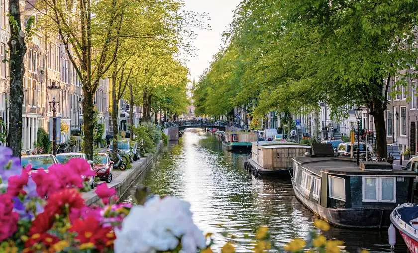 View of the canal in Jordaan with a row of canal boats, trees and bridge in the background