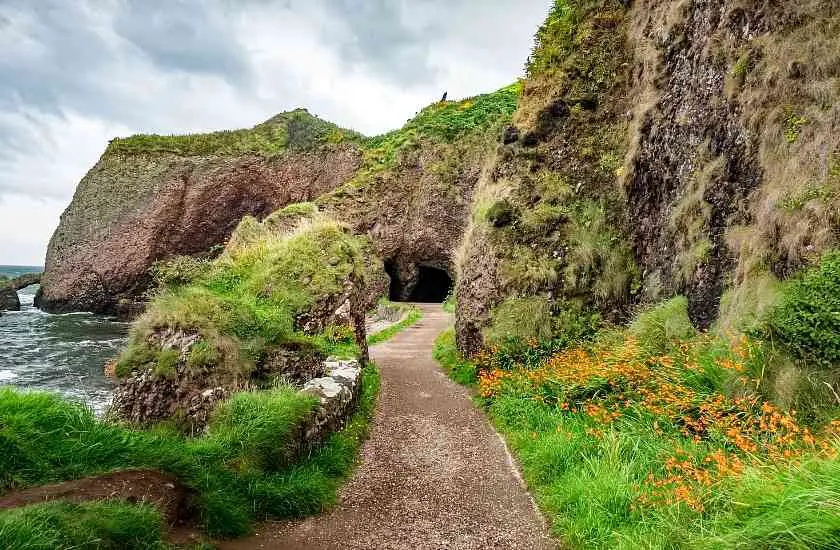 Entrance to Cushendun Cave with greenery and moss outside the cave