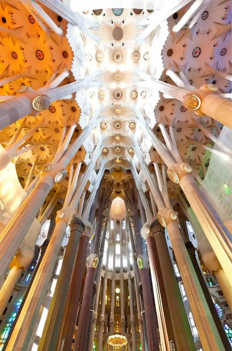 The flowery ceiling inside the bright Sagrada Familia with columns in Barcelona