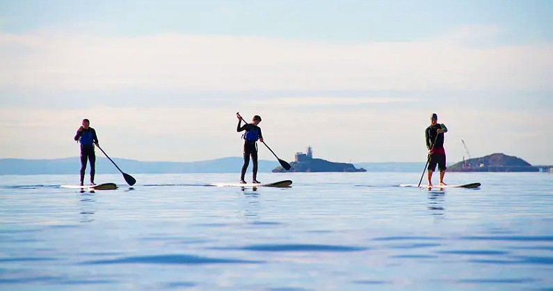 Three people stand up paddle boarding in Swansea Bay 