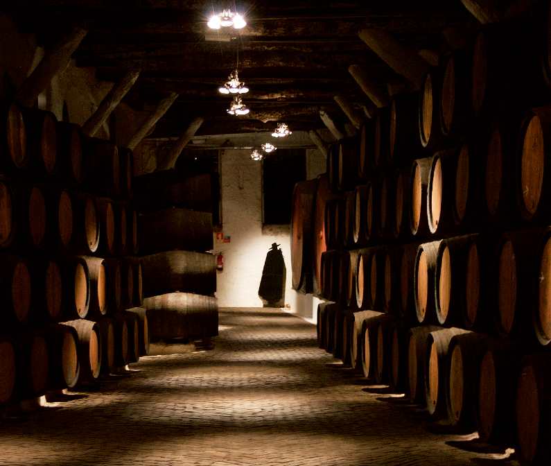 Inside the dark Sandemans Winery cellar filled with barrels 