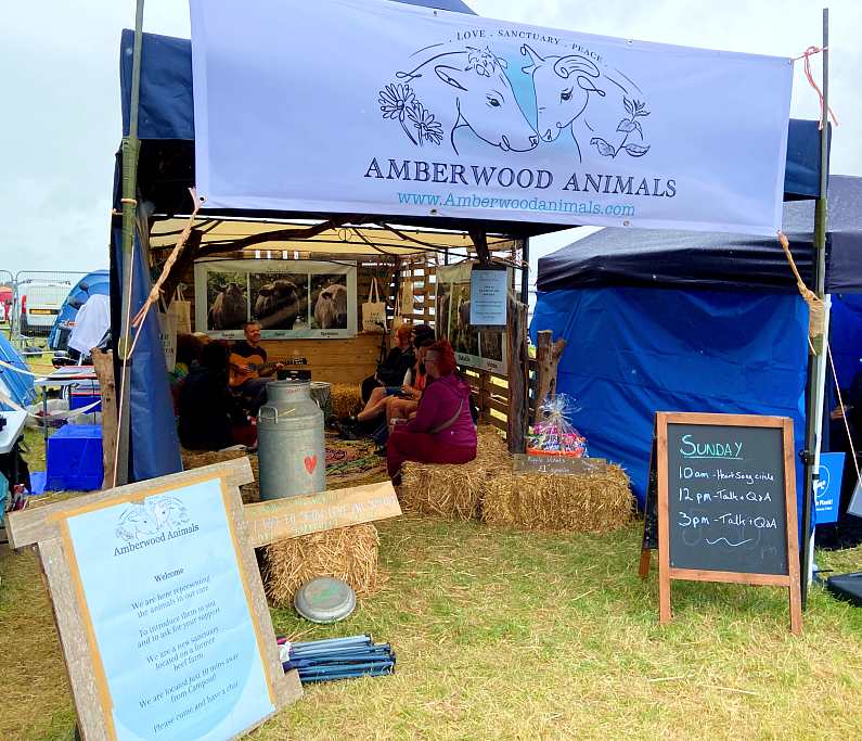 Amberwood Animals charity stand with a man playing guitar and people listening sat on bales of hay