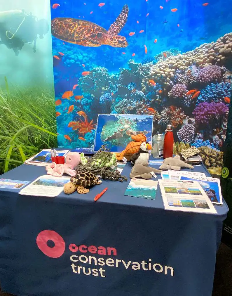 The Ocean Conservation Trust stand with a pull up banner with a turtle on it and plushy ocean creature toys on a blue table 